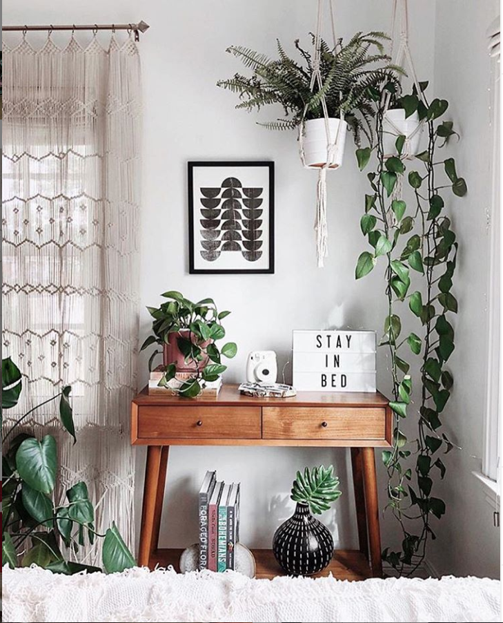 120+ Cozy DIY Living Room & Bedroom Home Decor With Green Houseplants On A Budget