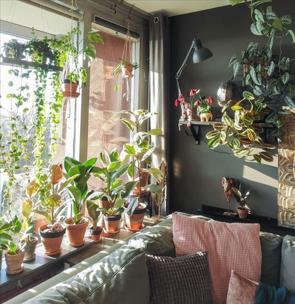 53 Air Purifying House Plants Indoor Decor Ideas - Latest Fashion ...