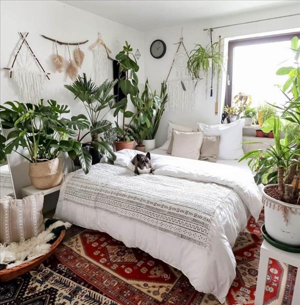 53 Air Purifying House Plants Indoor Decor Ideas - Fashionsum