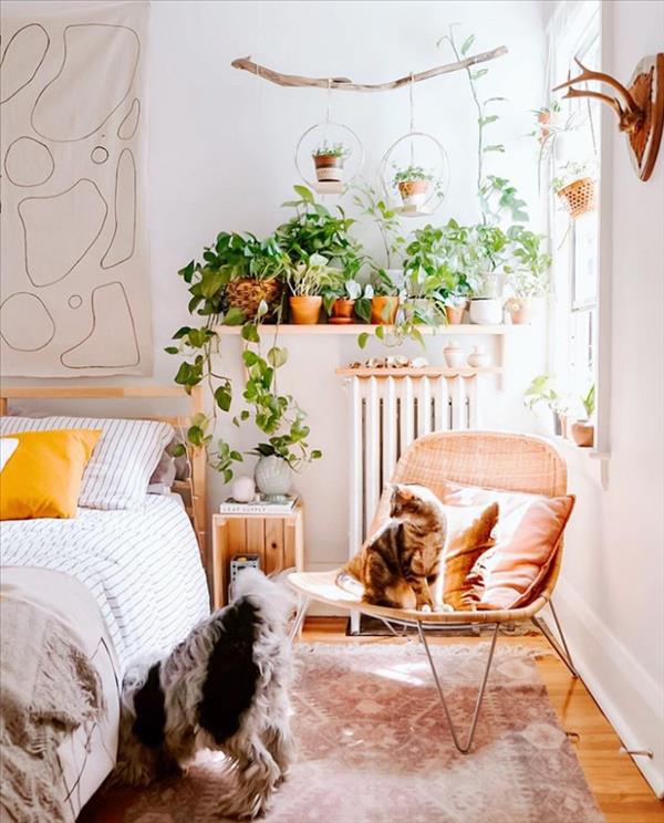 Green plants home decor ideas | Create the most pleasant home - Fashionsum