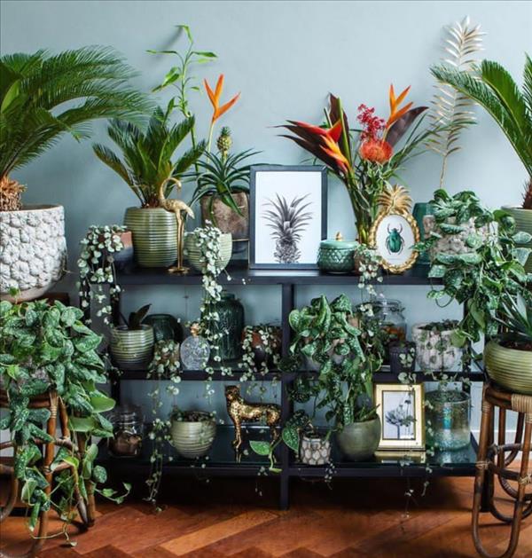 Green plants home decor ideas | Create the most pleasant home - Latest ...