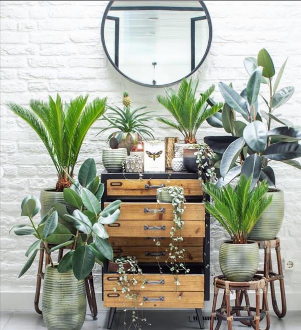 Green plants home decor ideas | Create the most pleasant home - Fashionsum