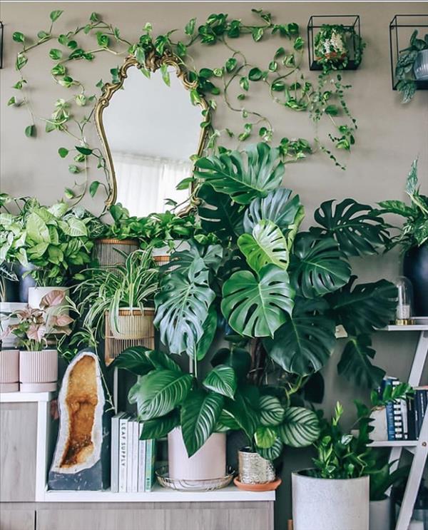 Green plants home decor ideas | Create the most pleasant home - Fashionsum