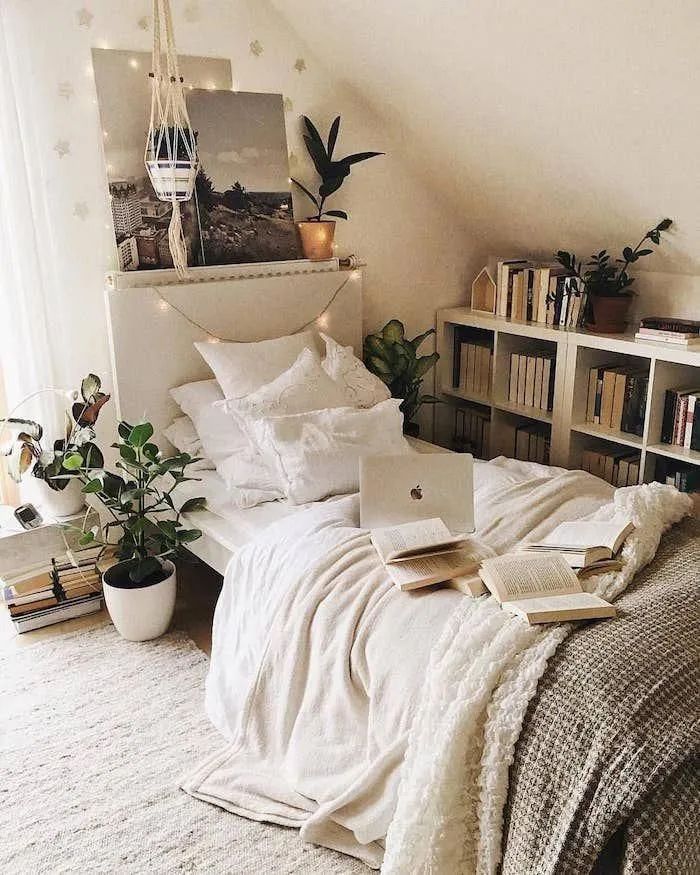 我想有个小卧房，喝茶读书日月长