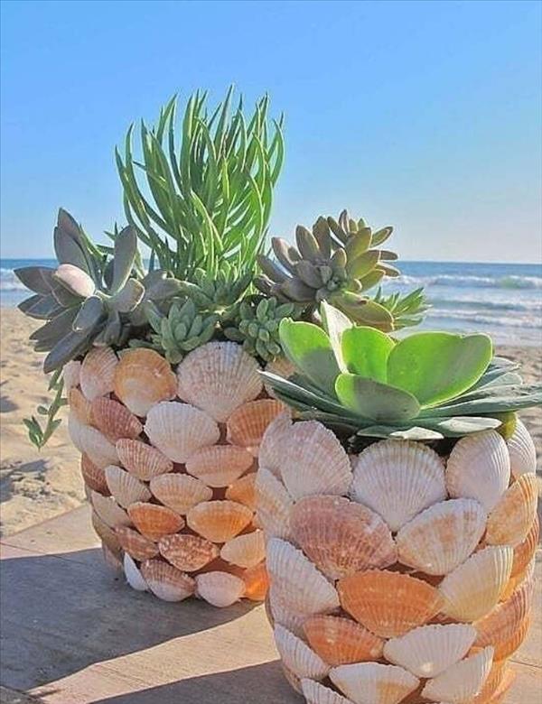 This is what succulent plants should look like!