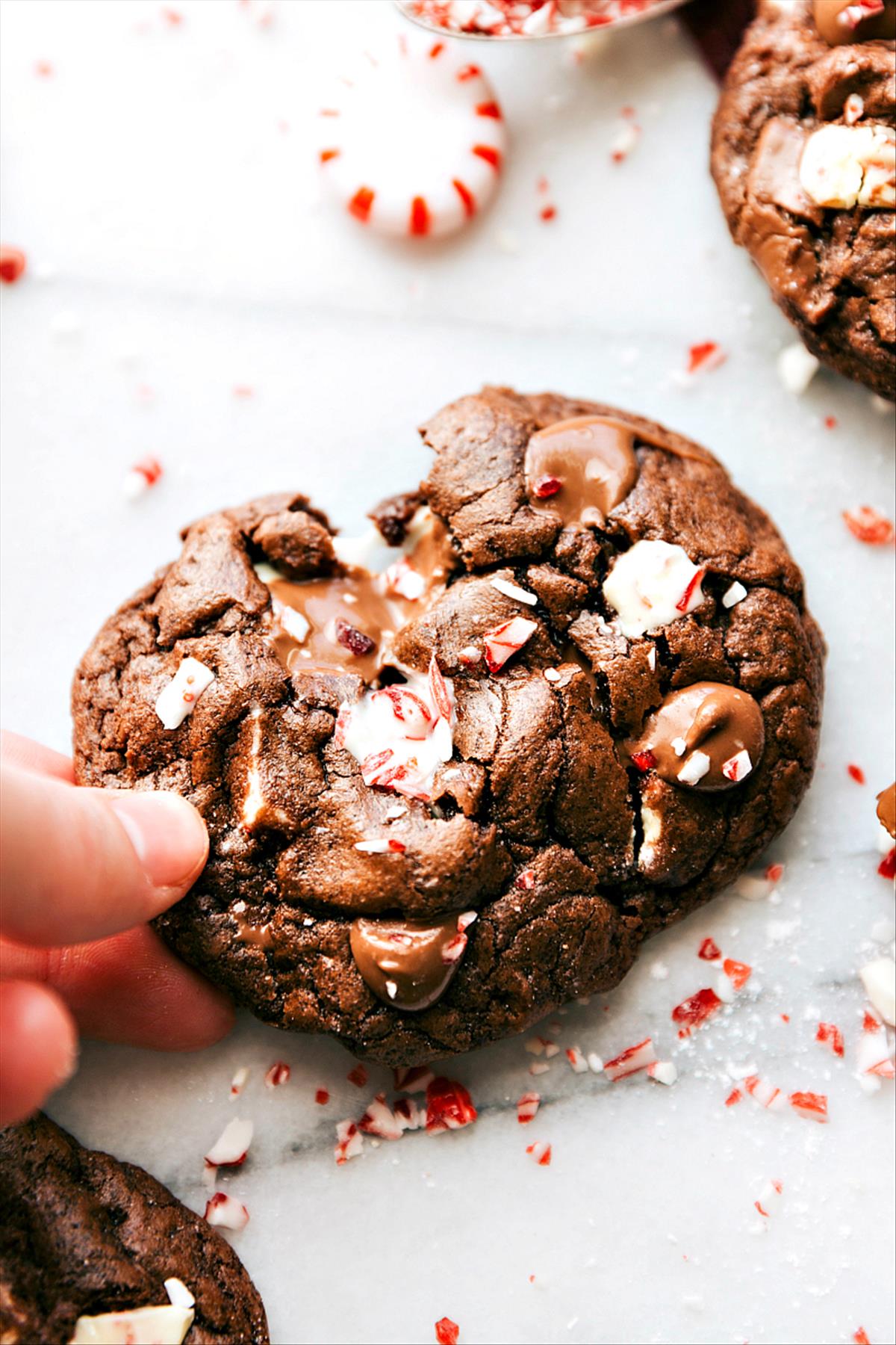  Yummy Christmas Cookie Ideas For Holiday Party